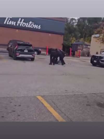 Woman Run Over Twice by Toronto Police Cruiser During Arrest at Jane Park Plaza