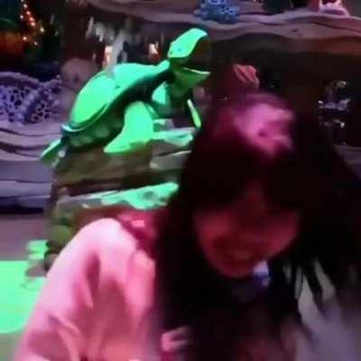 HMC while I dodge water shots