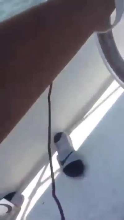 Is it drunkenness, stupidity, or a combo of both?