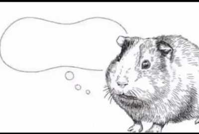 wenamechoindesama completo ful aga de