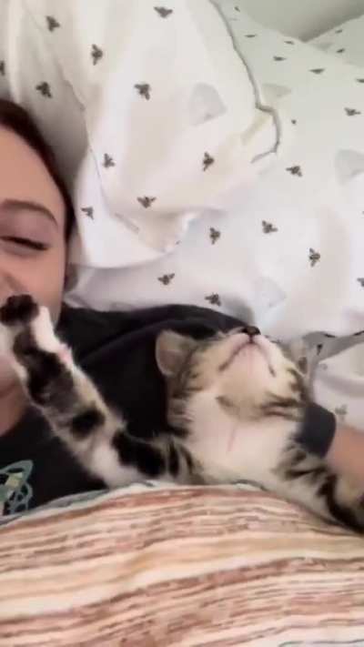 This is the cutest stretch I have ever seen