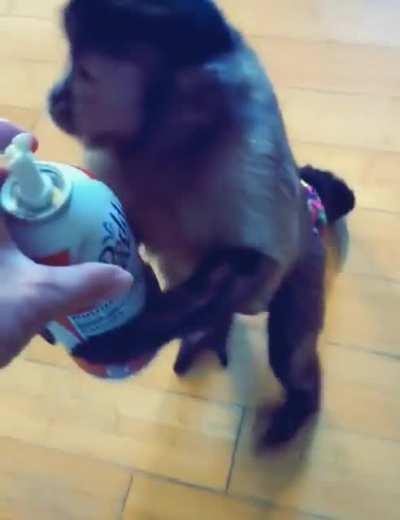 Little guy with his whipped cream. Can’t get enough!