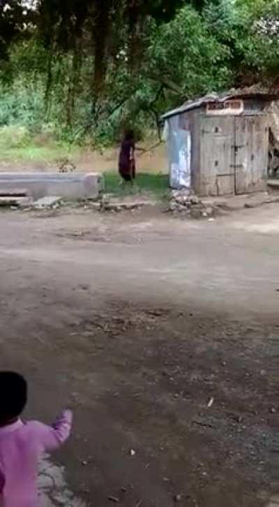 Old lady India yeets a cobra that wandered into her home