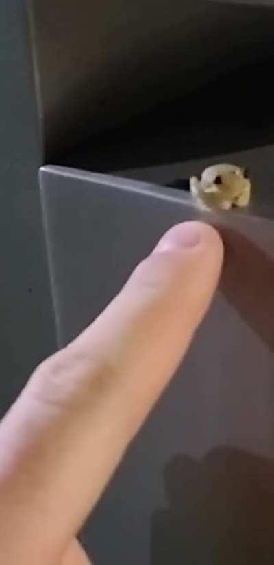 Happened to me last night... count me traumatized