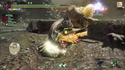 ...guess I going for the tail then