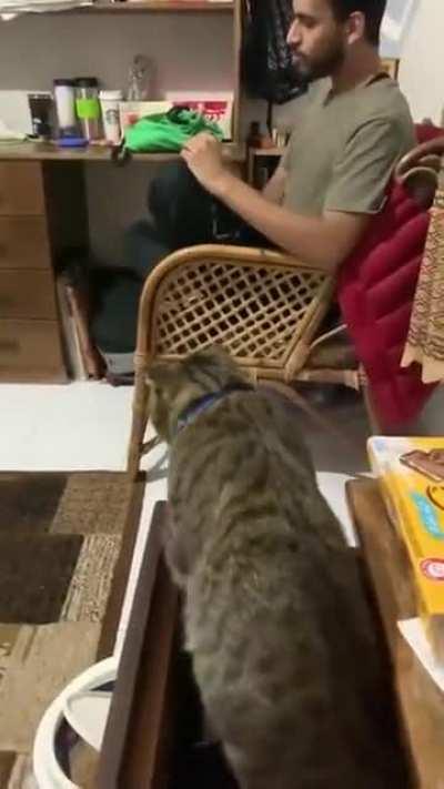 "How dare you touch my crib?"