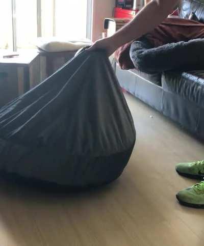 Long girl gets a new shell