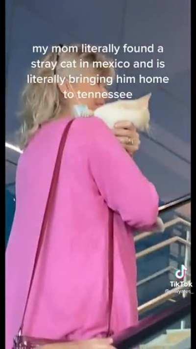 spotted one of you or your mom on tiktok earlier…