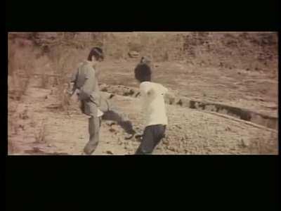 The Cub Tiger from Kwangtung (1973, Hong Kong) Fight Scenes + My Review in Comments