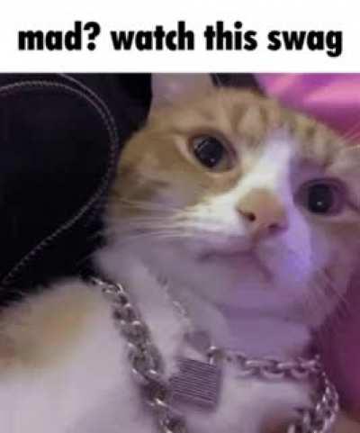 cat&eacute; make u watch