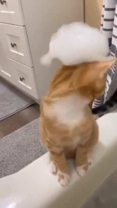 She is still confused