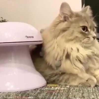 Enjoyment. Via @ahickman