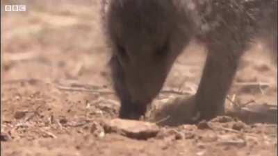 ⛔️⛔️⛔️⛔️⛔️⛔️