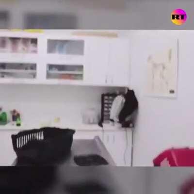 just casually taking the cat to the vet