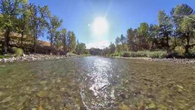 Double the fun: Catching fish on the swing AND getting it all on film. Happy Friday!