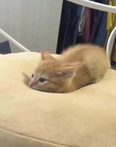 let me just melt into this pillow