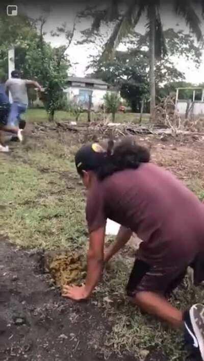 La banda bien llevada, como siempre.