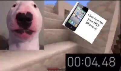 HALAL WALTER😱😱😱😱😱🤣 WALTER TRIES OUT NEW HALAL VIDEOGAME! FUNNY HALAL VIDEO 🐫🐫🐫🐫🐫🐫🐫🐫🐫🐫🐫🐫🐫🐫كلب والتر الحلال فيديو مضحك🐫😍🕋