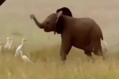 When you are little and you realize there is something hanging there