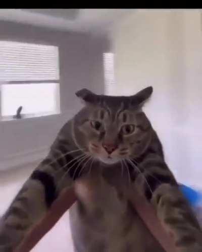 I'm 15 and this is yeet