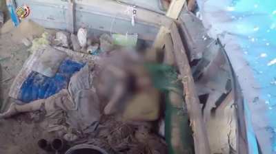 Egyptian military eleminating Isis militants in Sinai