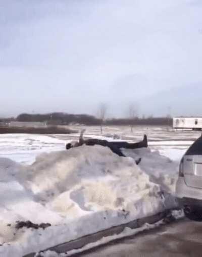 Trying to snow dive.