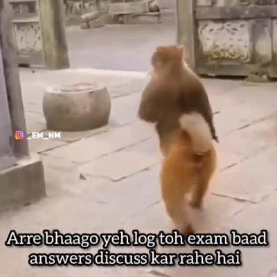 aise kaarne waale hijde hote hai