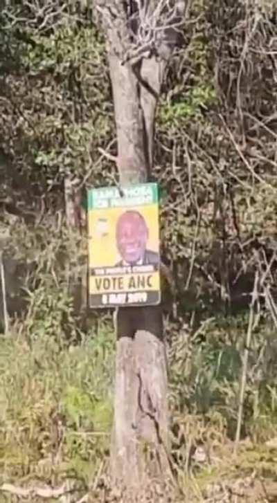 Dudu Zuma(JZ's daughter) just posted this video on Twitter