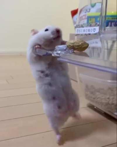 Утренняя гимнастика