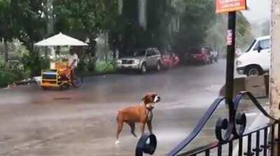 Singing in the rain! I'm singing in the rain....