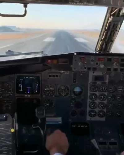 Bird slams into plane upon landing.