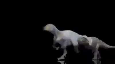 Areosteon. Torvosaurus, and… him