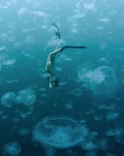 🔥 Moon Jellyfish Realm in Australia