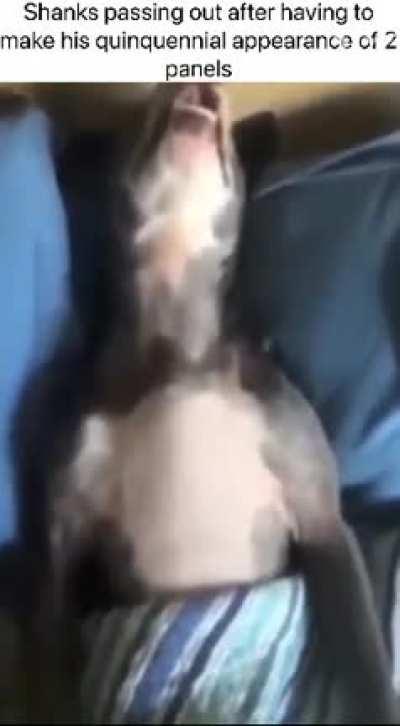 Mf comes, stares a bit, then leaves lmao