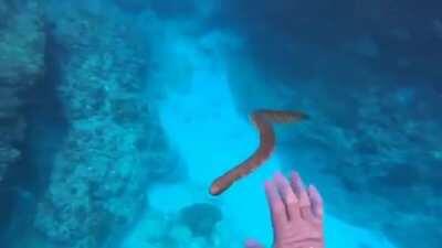 “Let me approach this hum..AEK!”