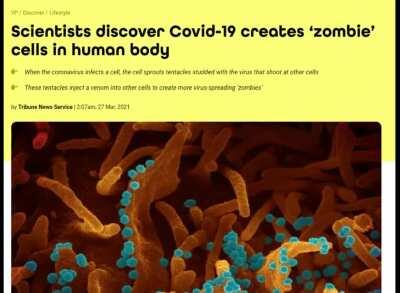 Looks like we're getting multiplayer IRL boys