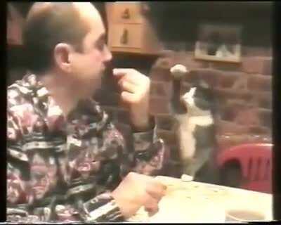 Cat communicates with its deaf owner using sign language.