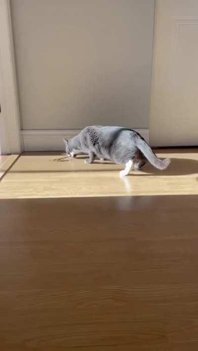 You've all know Walk of Shame, But have you seen Walk Of Pride?