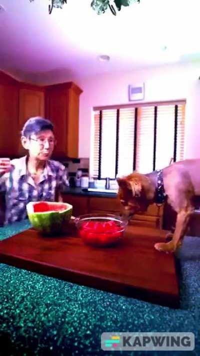 GeT oUtTa HeRe ChArLiE!!!