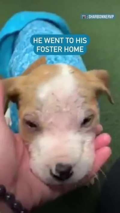 From the bottom to the top