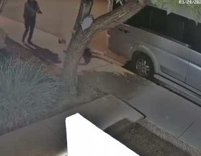 A lesson in what NOT to do when a gun is aimed at you