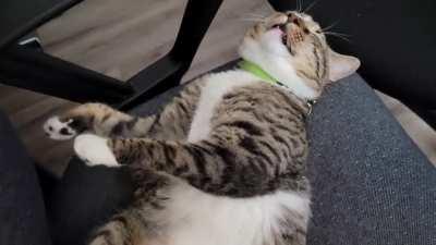 I wonder what he's dreaming of..