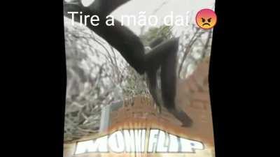Tire agora mesmo 😠