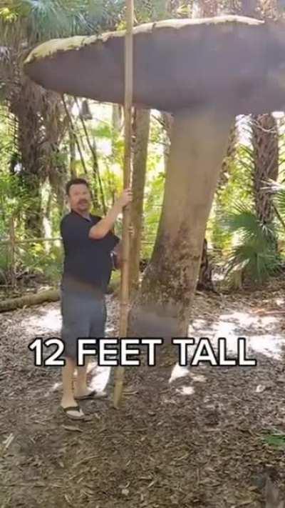 This 12 feet tall mushroom