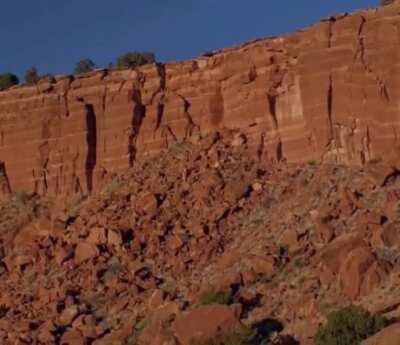 lets be honest the love triangle between walt, honk and gomey was what tied this show together