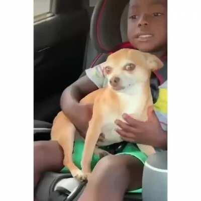 This boy and his dog 🥺