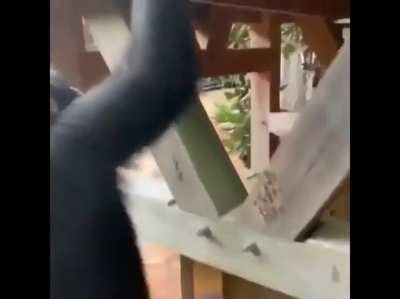 Io che porto i miei fra alla scoperta del nuovo subreddit