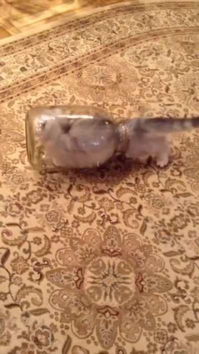 Just shake the bottle!!