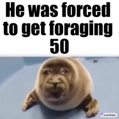 This Reflects a 3 Person Poll and not My Own Personal Beliefs