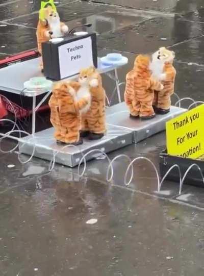 ¡¡¡YA SOMOS 32K!!! Gracias por quedarse